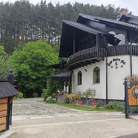 Villa Casa Dintre Pini Păltinoasa Esterno foto