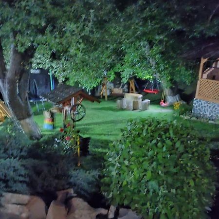 Villa Casa Dintre Pini Păltinoasa Esterno foto