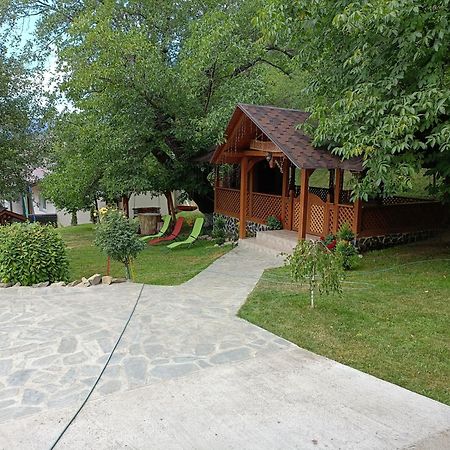 Villa Casa Dintre Pini Păltinoasa Esterno foto