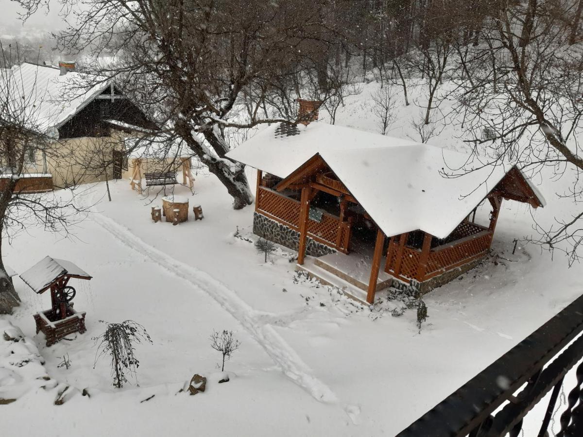 Villa Casa Dintre Pini Păltinoasa Esterno foto