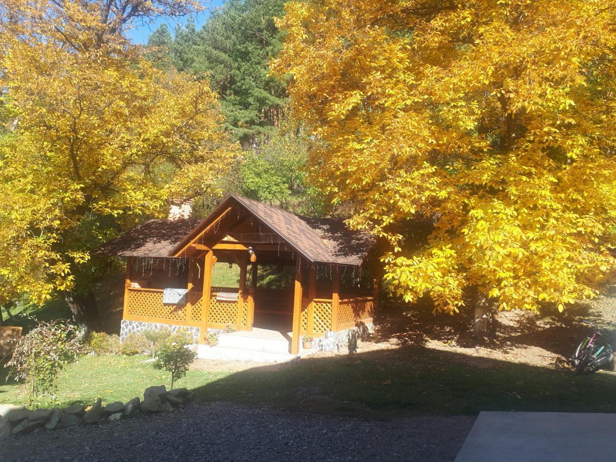 Villa Casa Dintre Pini Păltinoasa Esterno foto