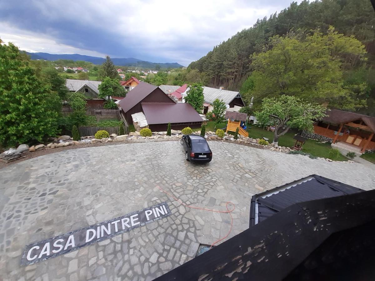Villa Casa Dintre Pini Păltinoasa Esterno foto