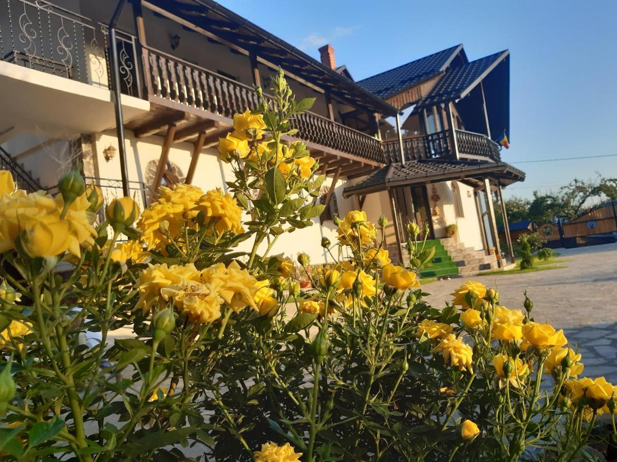 Villa Casa Dintre Pini Păltinoasa Esterno foto