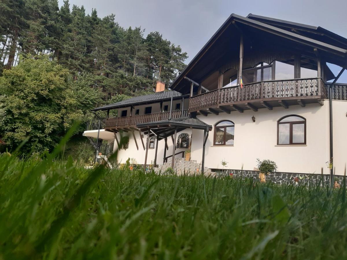 Villa Casa Dintre Pini Păltinoasa Esterno foto