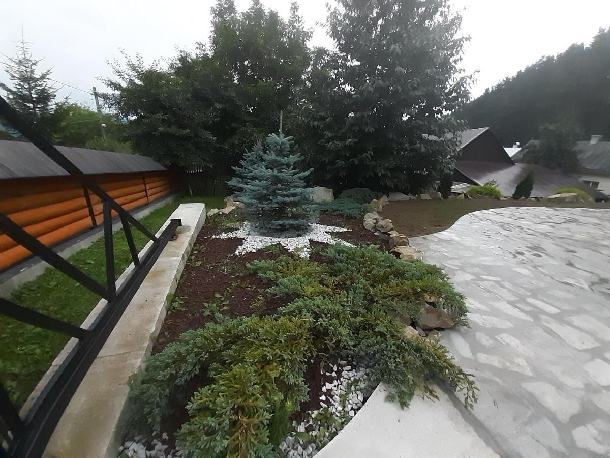 Villa Casa Dintre Pini Păltinoasa Esterno foto