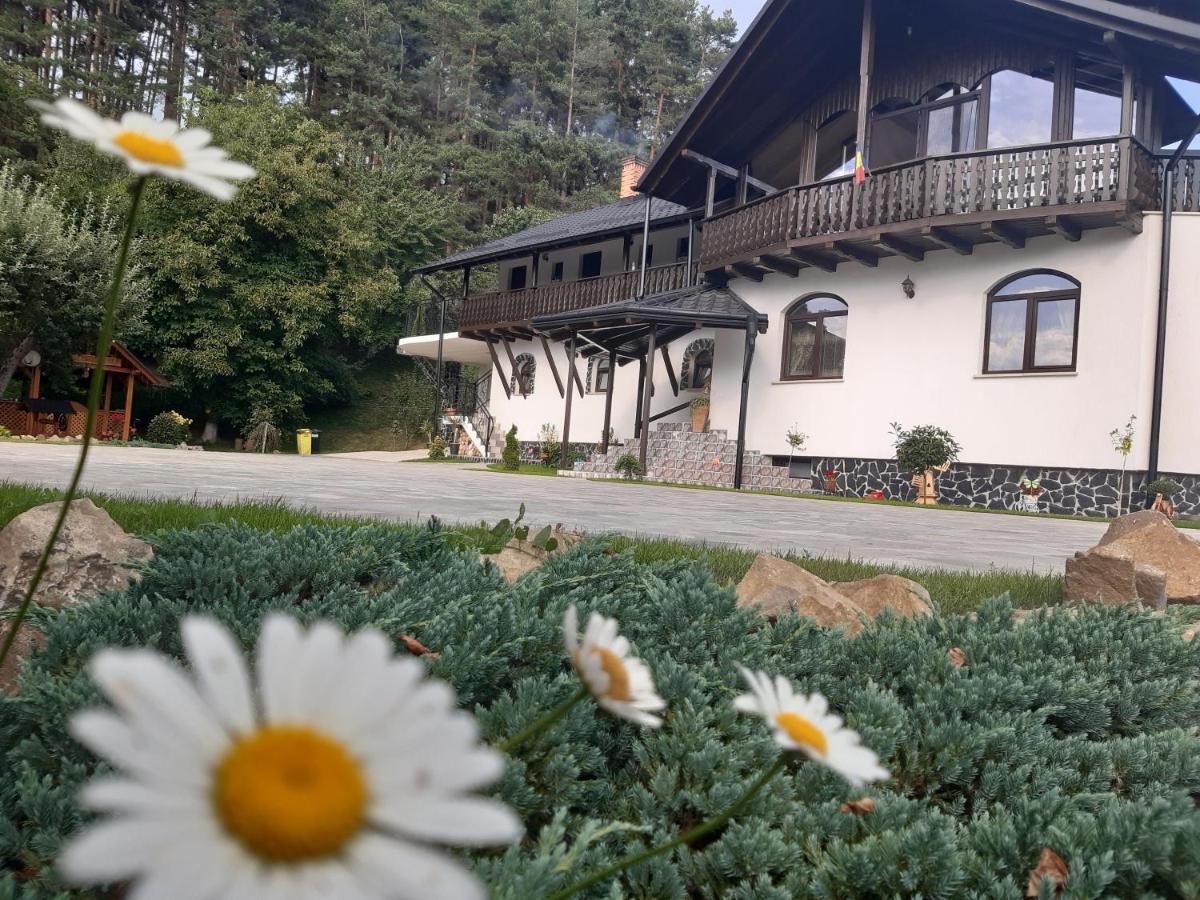 Villa Casa Dintre Pini Păltinoasa Esterno foto