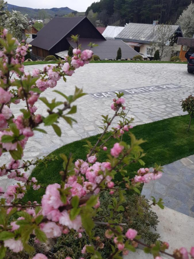 Villa Casa Dintre Pini Păltinoasa Esterno foto