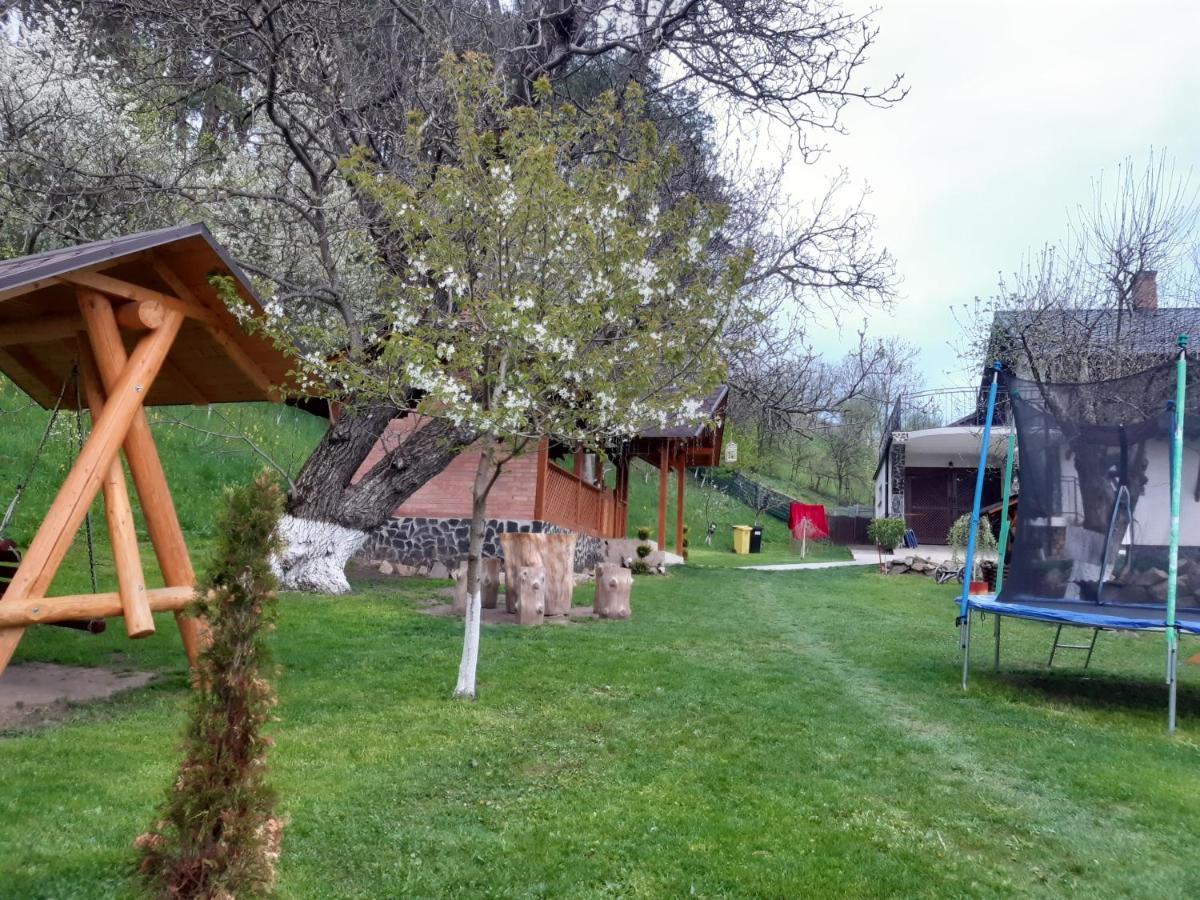 Villa Casa Dintre Pini Păltinoasa Esterno foto