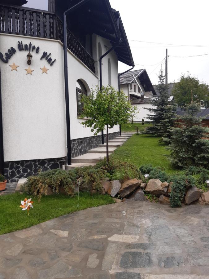 Villa Casa Dintre Pini Păltinoasa Esterno foto
