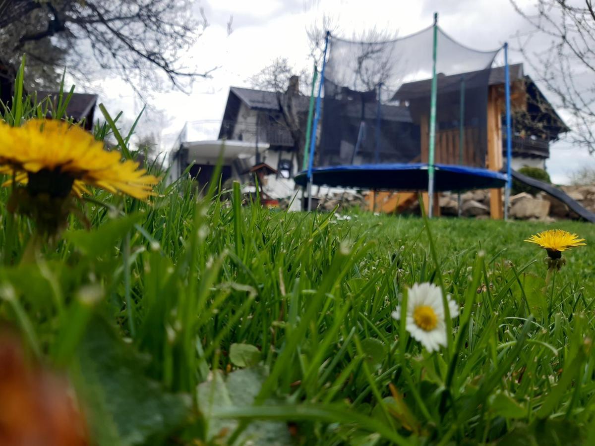 Villa Casa Dintre Pini Păltinoasa Esterno foto