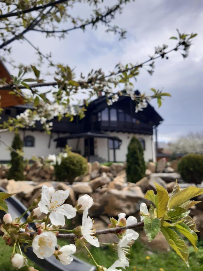 Villa Casa Dintre Pini Păltinoasa Esterno foto