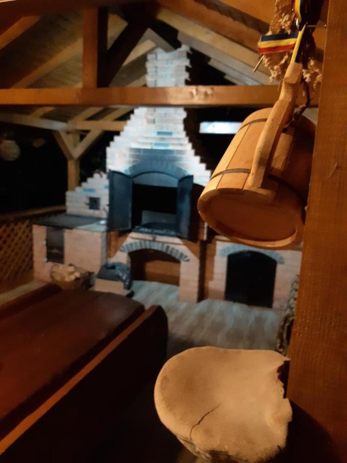 Villa Casa Dintre Pini Păltinoasa Esterno foto