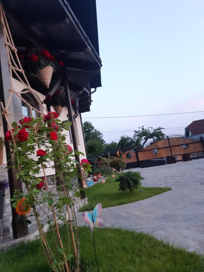 Villa Casa Dintre Pini Păltinoasa Esterno foto