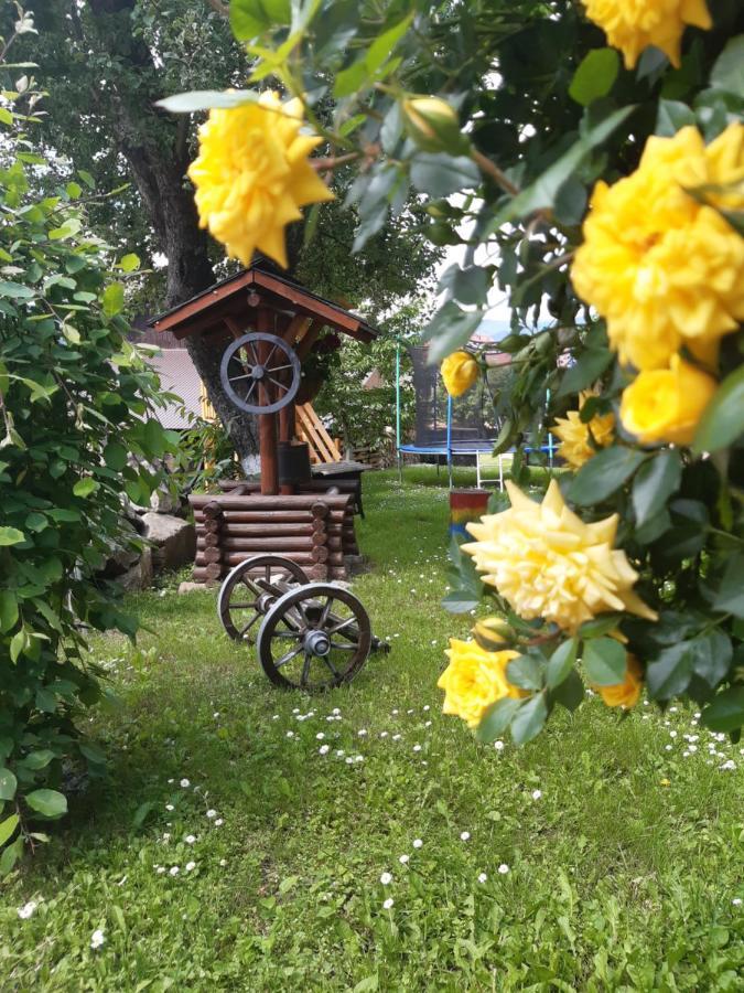 Villa Casa Dintre Pini Păltinoasa Esterno foto