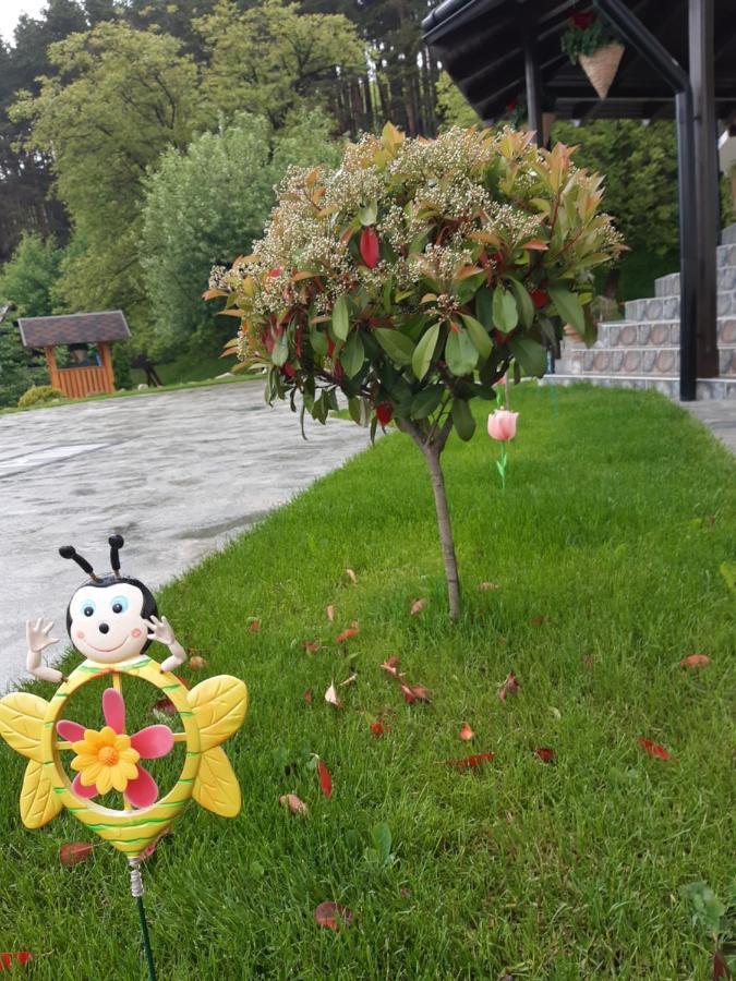 Villa Casa Dintre Pini Păltinoasa Esterno foto