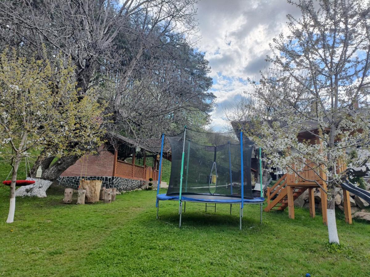 Villa Casa Dintre Pini Păltinoasa Esterno foto