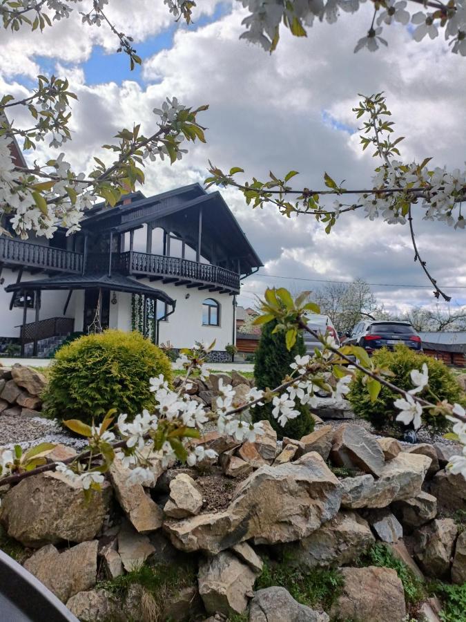 Villa Casa Dintre Pini Păltinoasa Esterno foto
