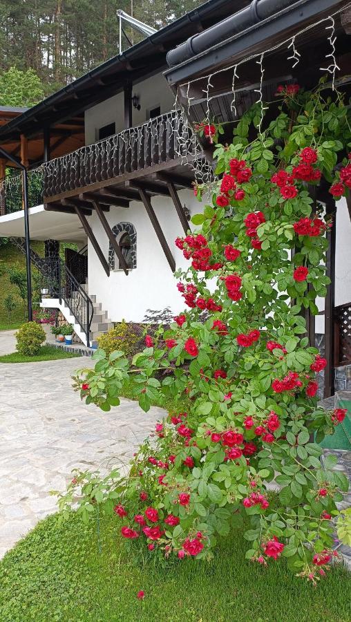 Villa Casa Dintre Pini Păltinoasa Esterno foto