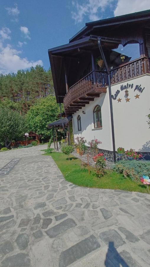 Villa Casa Dintre Pini Păltinoasa Esterno foto