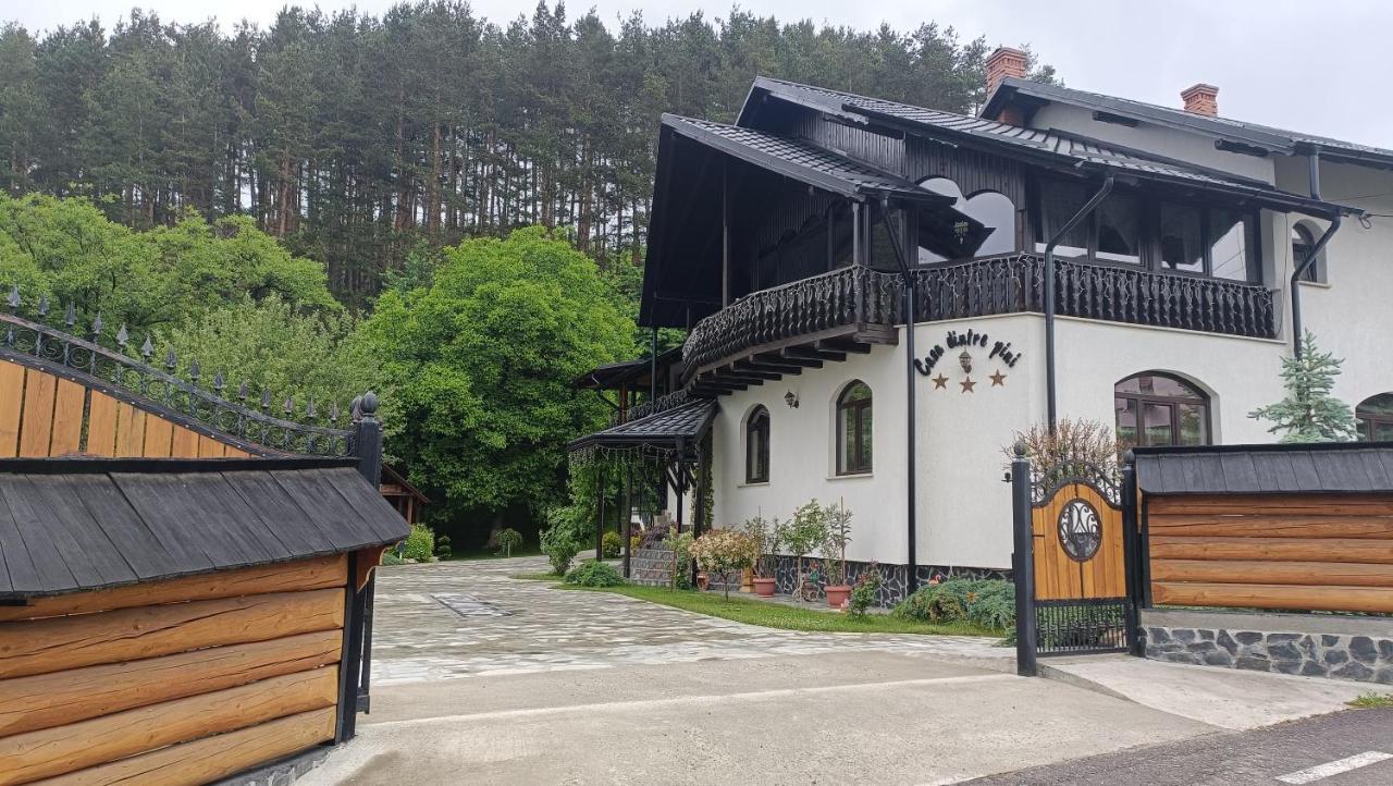 Villa Casa Dintre Pini Păltinoasa Esterno foto