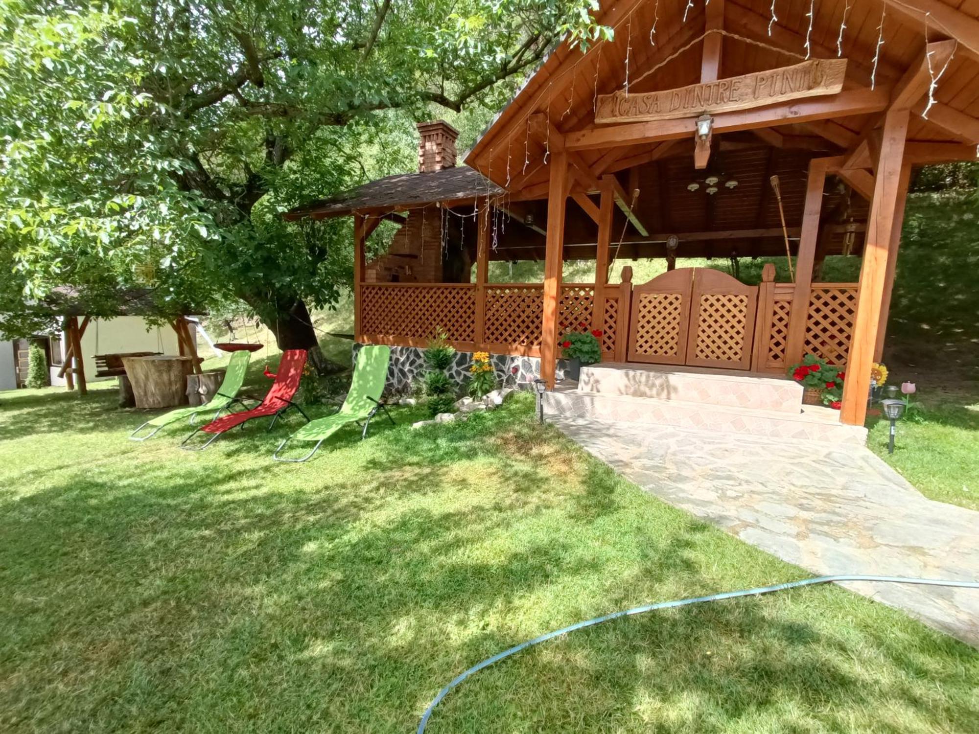 Villa Casa Dintre Pini Păltinoasa Esterno foto